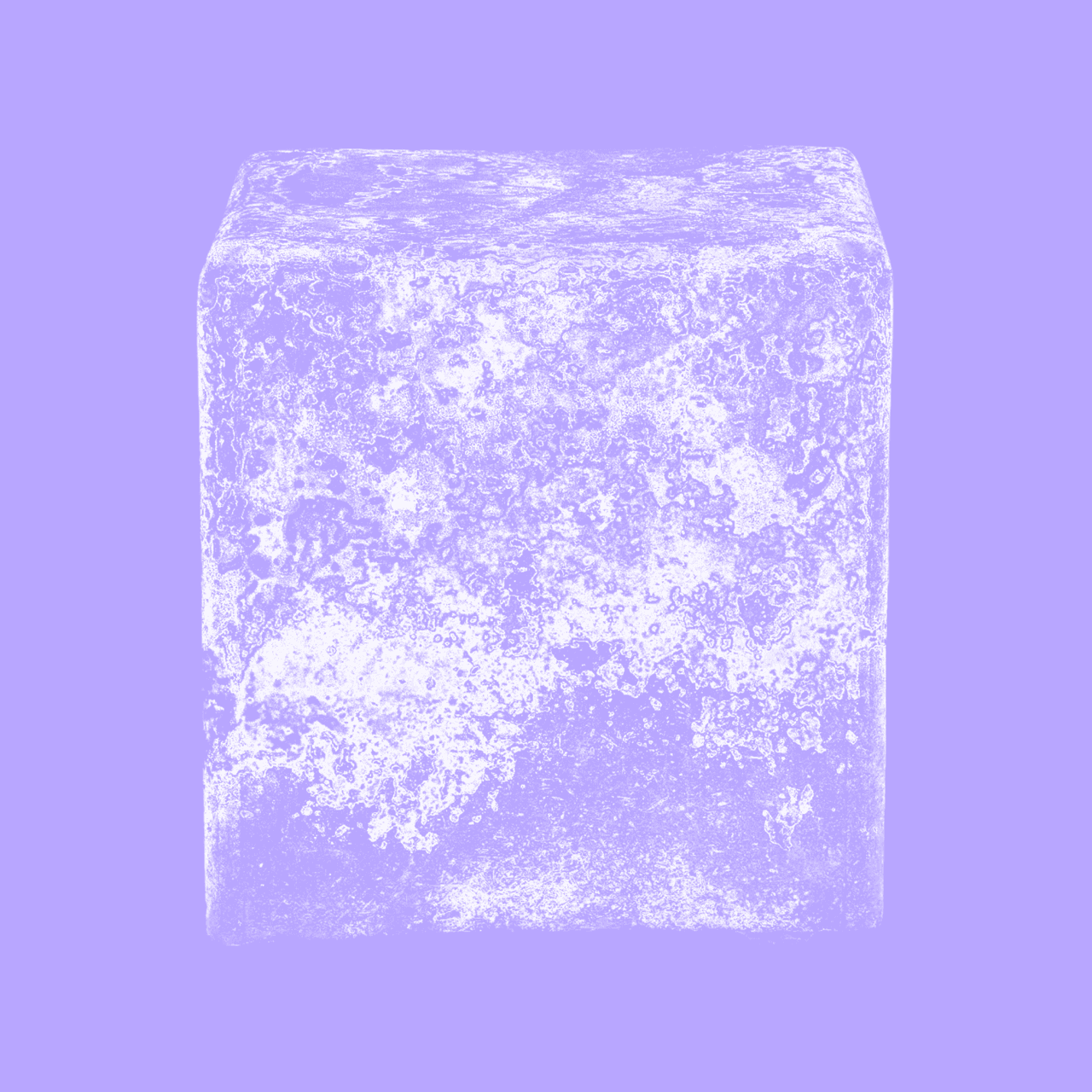 highlights (9).png